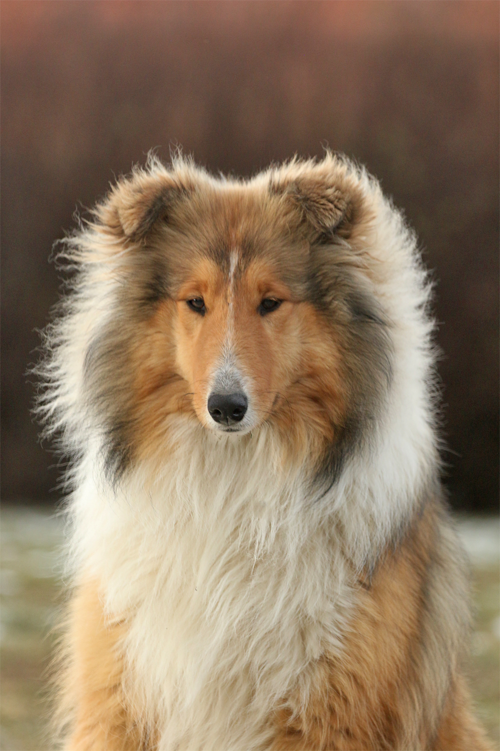 Lady In Red von der Ischlerbahn 